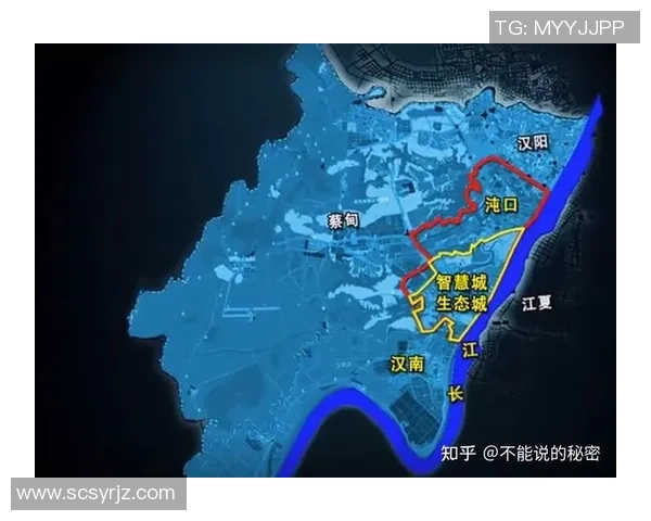 重磅专题:武汉乒乓球队的整体压制革新